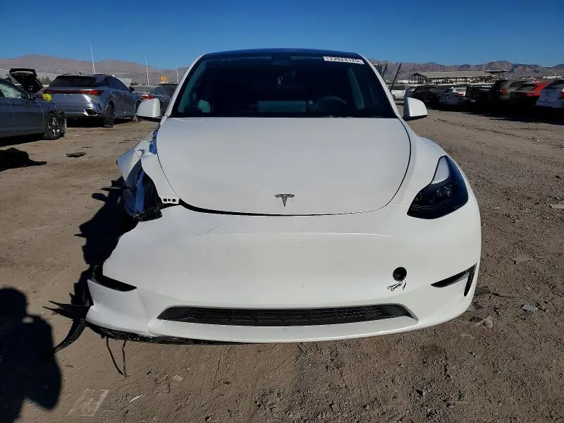 2025 TESLA MODEL Y   