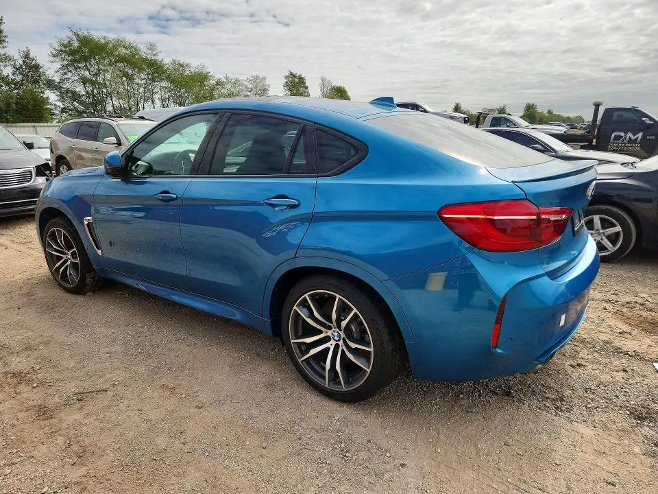 2015 BMW X6 M  