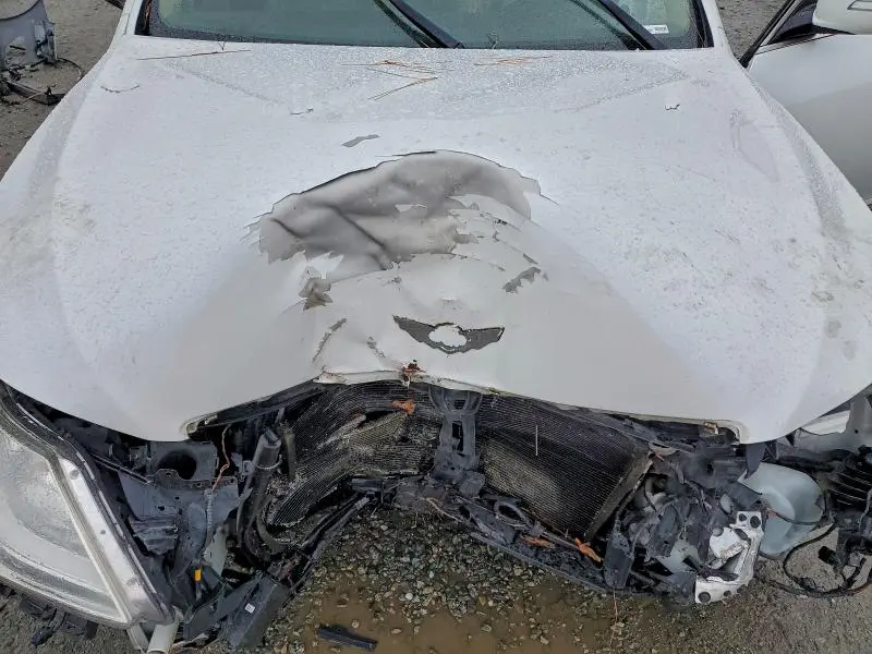 2013 HYUNDAI GENESIS 3.8L  