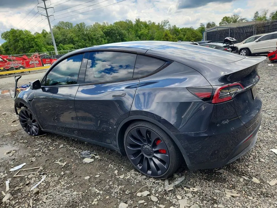 2024 TESLA MODEL Y   