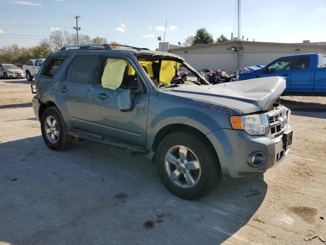 2010 FORD ESCAPE LIMITED