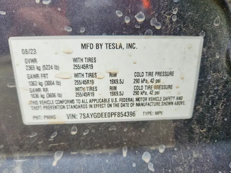 2023 TESLA MODEL Y   