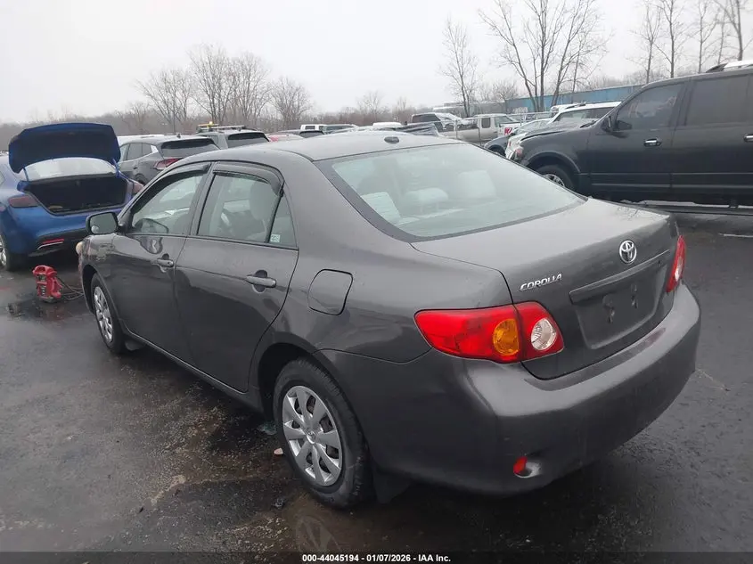 2010 TOYOTA COROLLA  