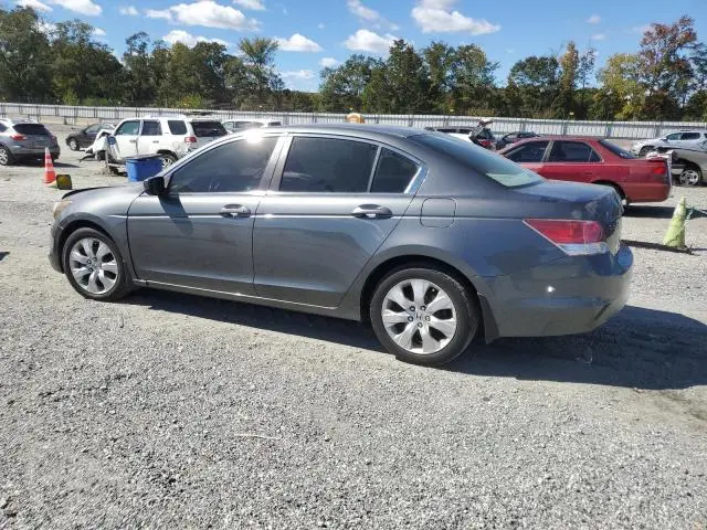 2010 HONDA ACCORD EXL  