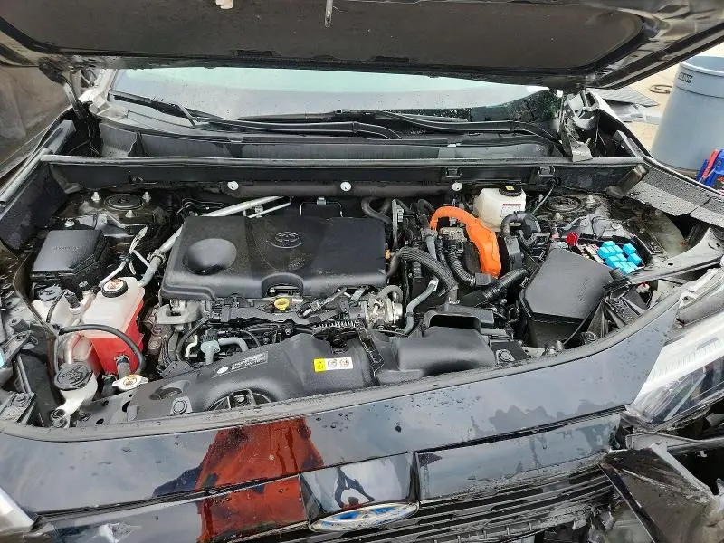 2023 TOYOTA RAV4   