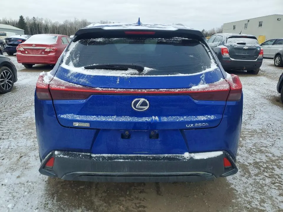 2020 LEXUS UX 250H F SPORT  
