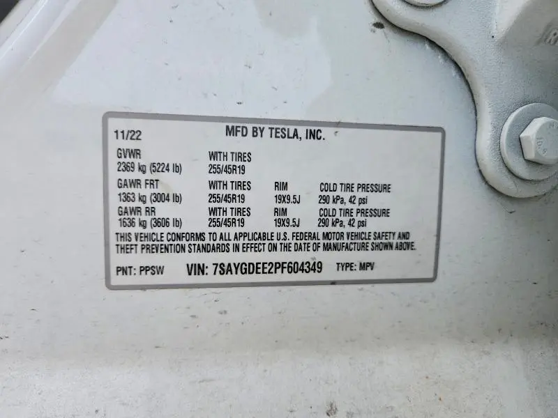 2023 TESLA MODEL Y   