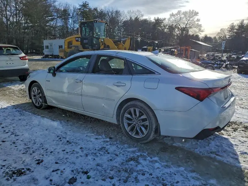 2019 TOYOTA AVALON XLE  