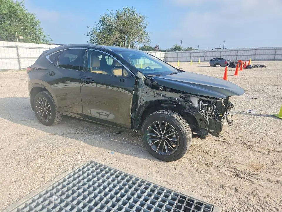 2025 LEXUS NX 250 BASE  