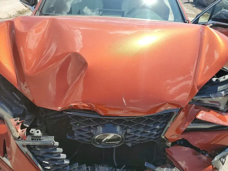 2020 LEXUS NX 300 F SPORT  