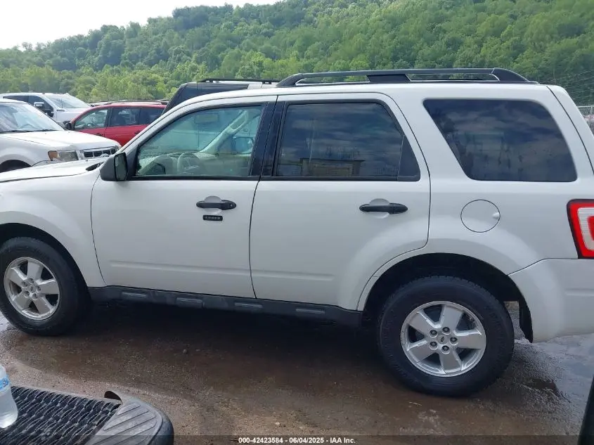 2010 FORD ESCAPE XLT
