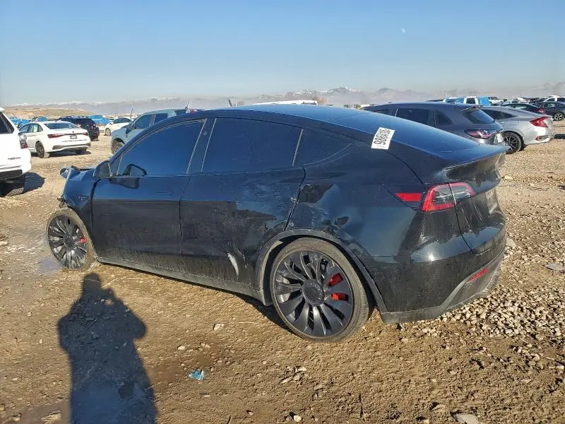 2025 TESLA MODEL Y   