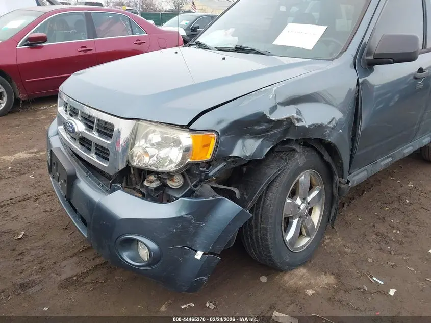 2011 FORD ESCAPE XLT