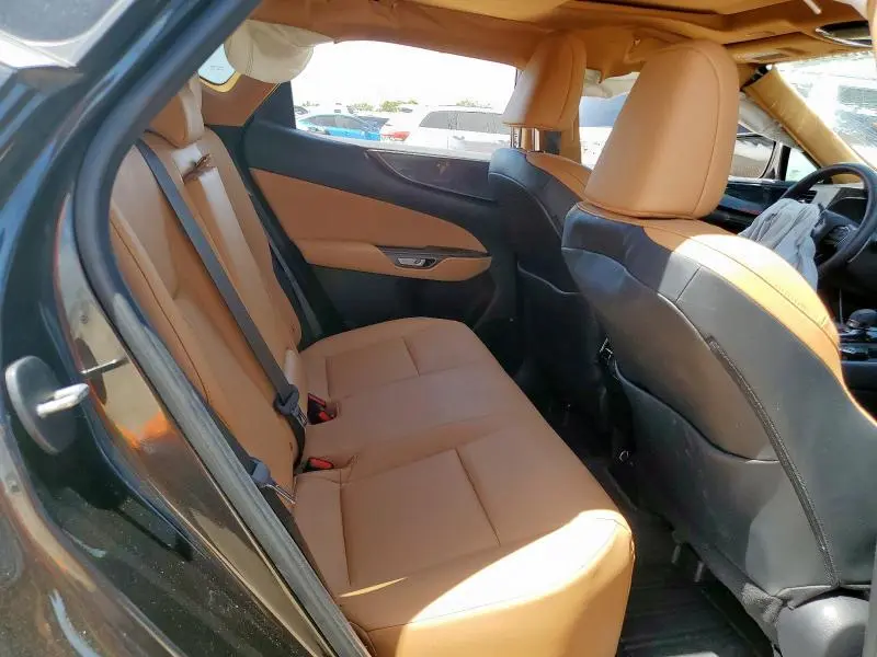 2023 LEXUS NX 350  