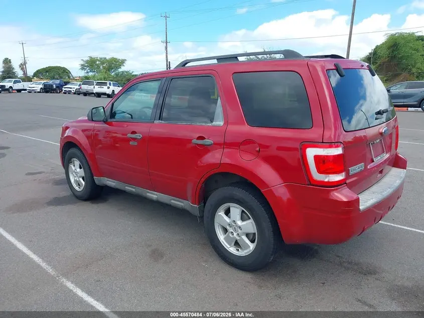 2011 FORD ESCAPE XLT