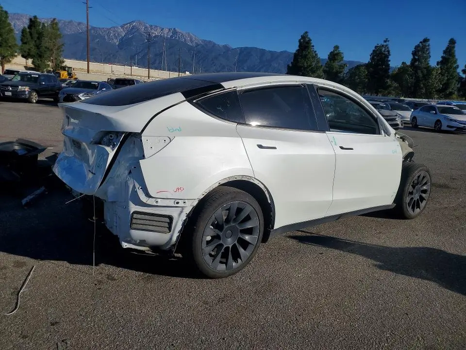 2020 TESLA MODEL Y   