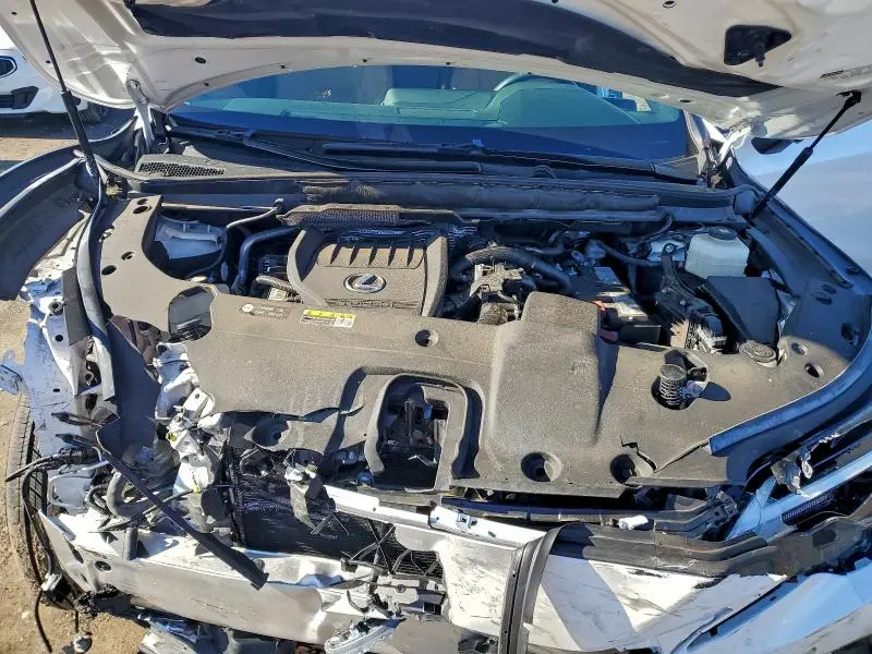 2024 LEXUS RX 350 BASE  