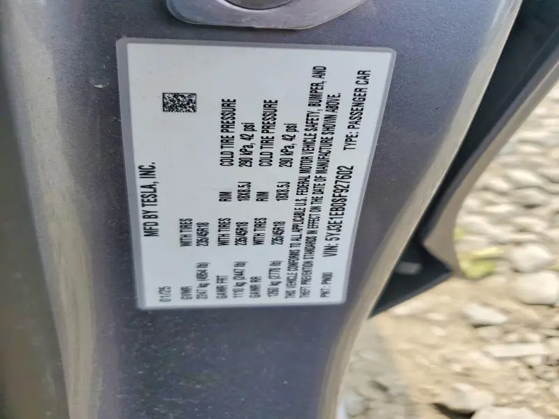 2025 TESLA MODEL 3   
