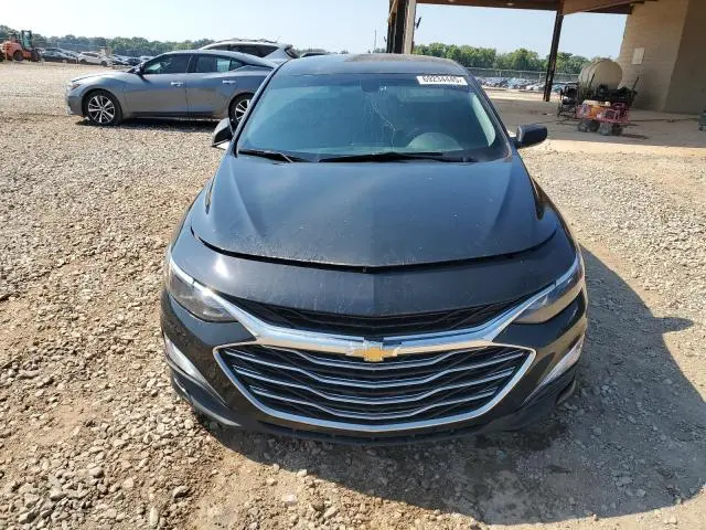2019 CHEVROLET MALIBU LS  
