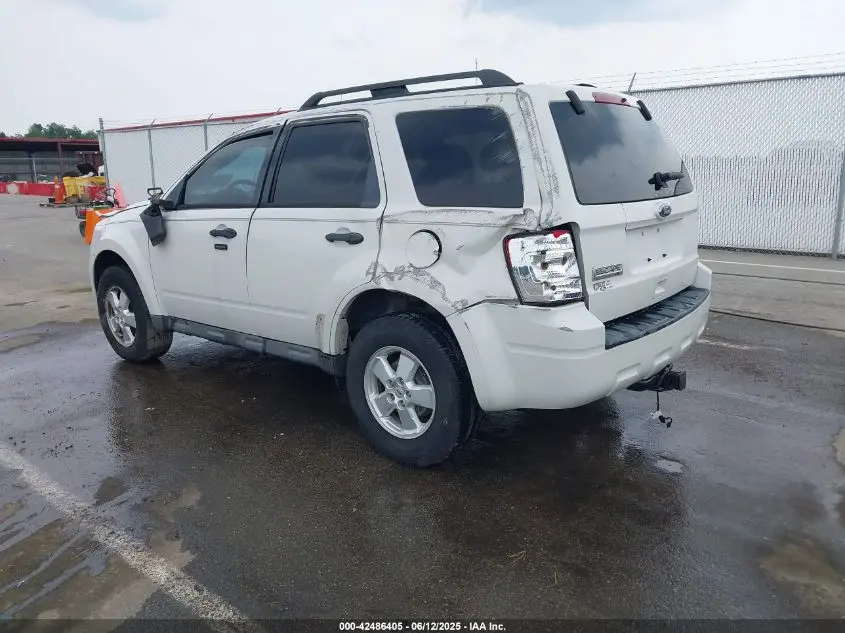 2010 FORD ESCAPE XLT