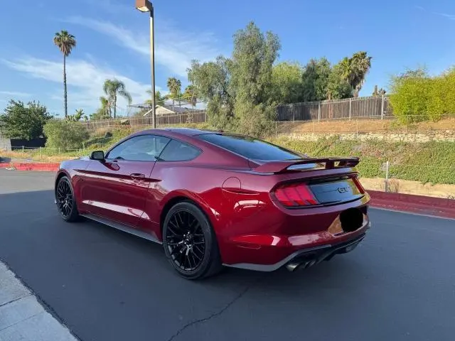 2019 FORD MUSTANG GT  