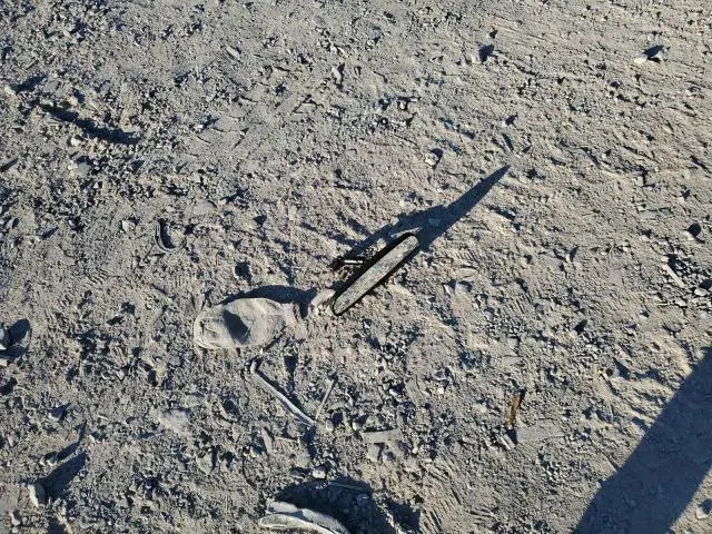 2013 FORD MUSTANG GT  