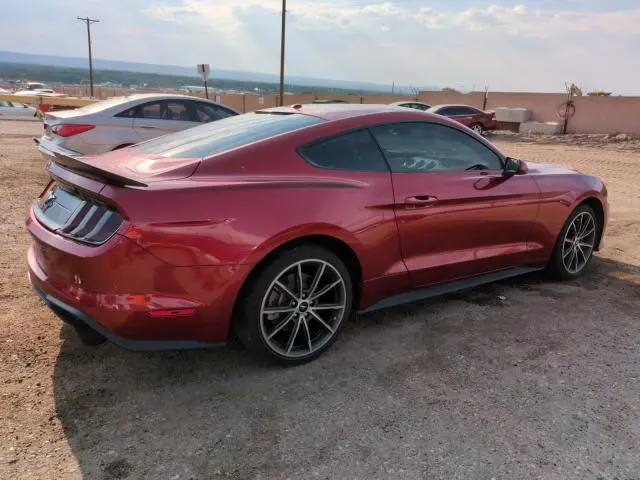 2019 FORD MUSTANG   