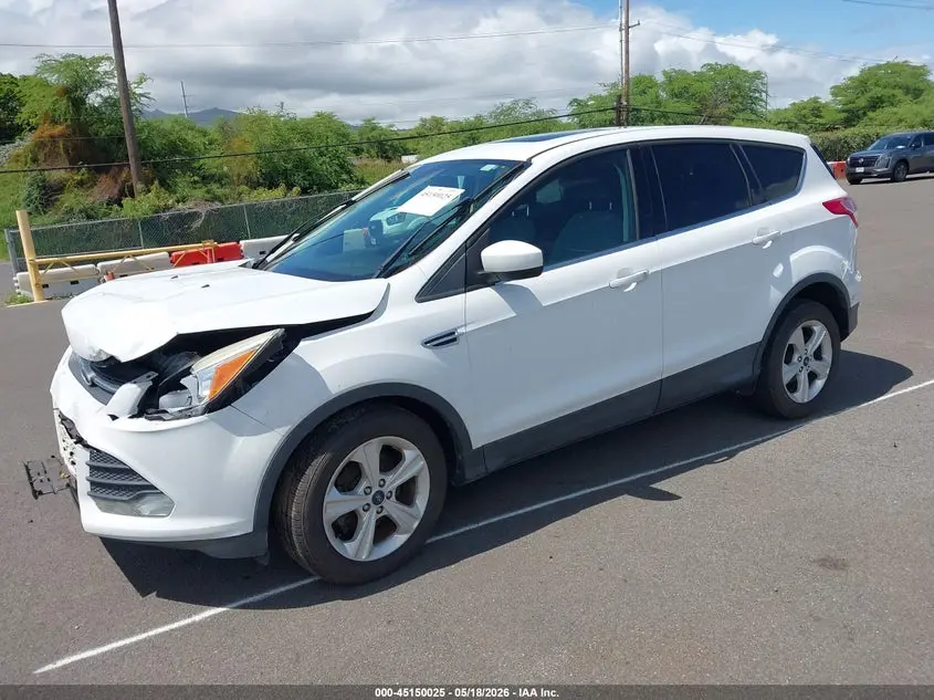 2014 FORD ESCAPE SE