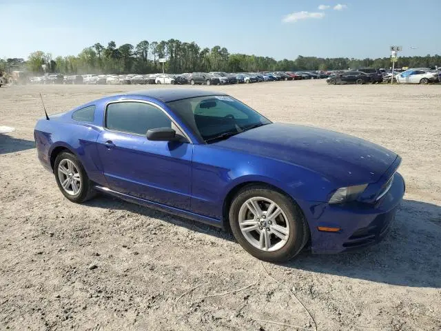 2014 FORD MUSTANG