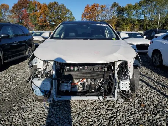 2025 LEXUS NX 450H LUXURY  