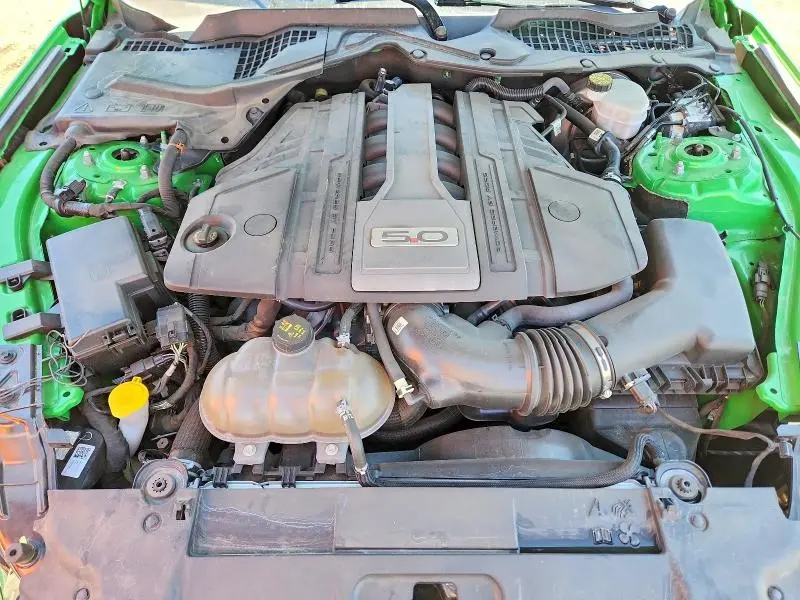 2019 FORD MUSTANG GT  