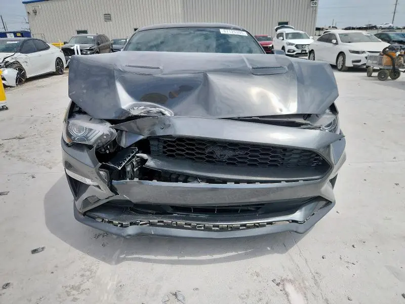 2019 FORD MUSTANG   