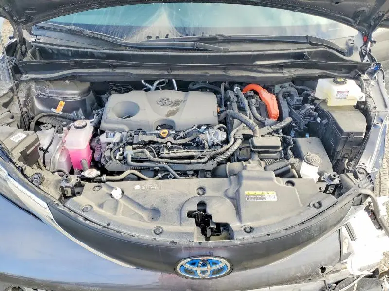 2025 TOYOTA SIENNA XLE 7-PASSENGER  