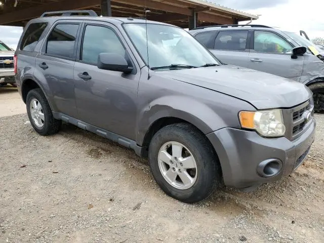 2011 FORD ESCAPE XLT