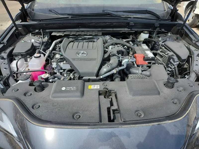 2026 LEXUS NX 350   