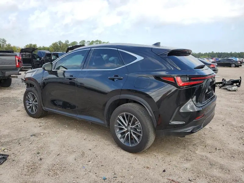 2025 LEXUS NX 250 PREMIUM  
