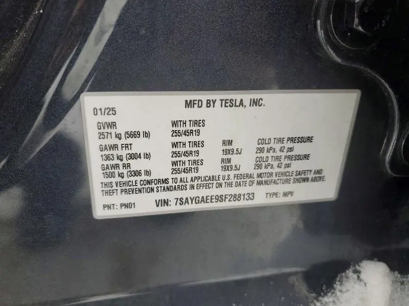 2025 TESLA MODEL Y   