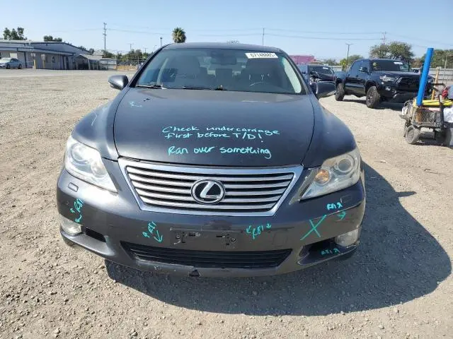 2010 LEXUS LS 460  