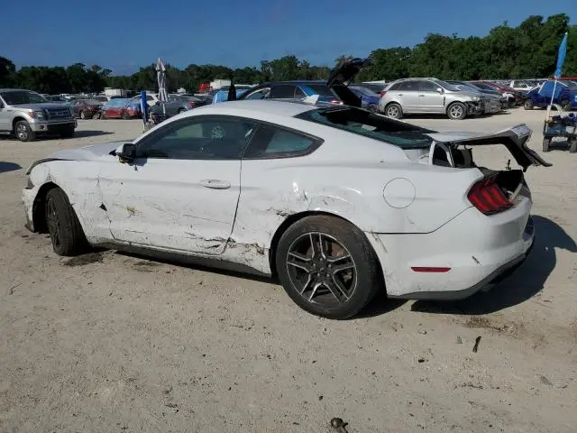 2021 FORD MUSTANG   