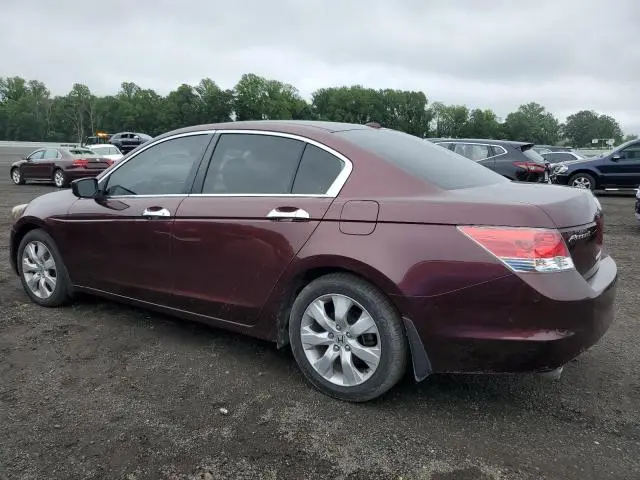 2010 HONDA ACCORD EXL  