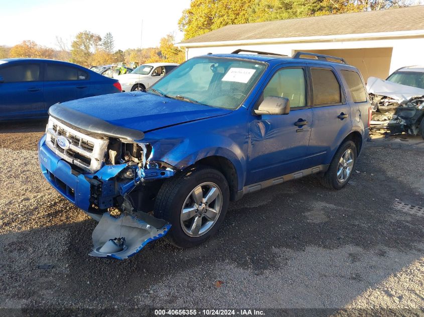 2011 FORD ESCAPE XLT