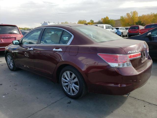 2011 HONDA ACCORD EXL