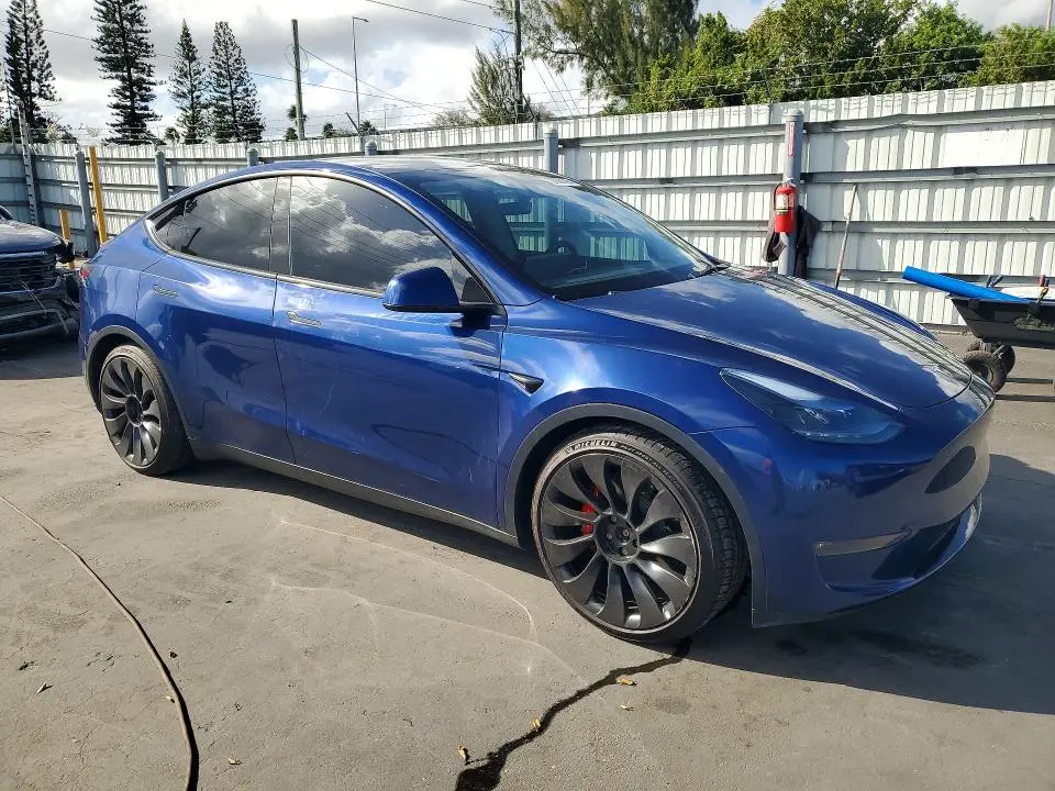 2025 TESLA MODEL Y   