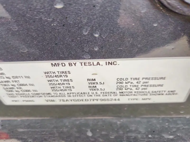 2023 TESLA MODEL Y   