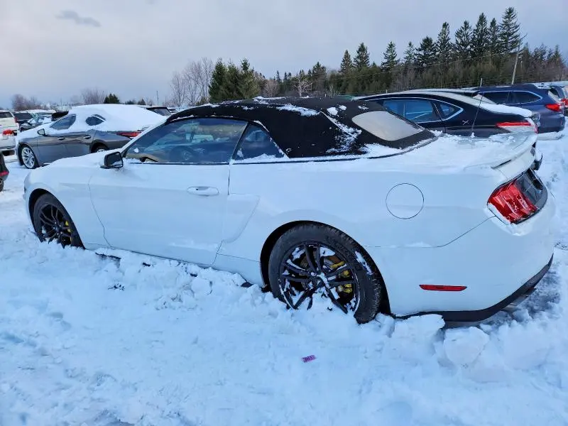2019 FORD MUSTANG GT  
