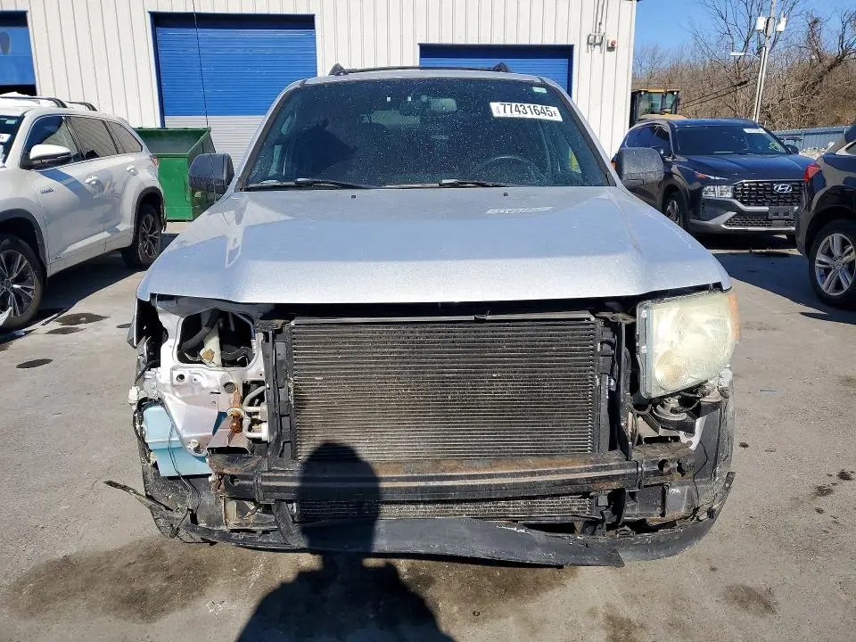 2011 FORD ESCAPE XLT  