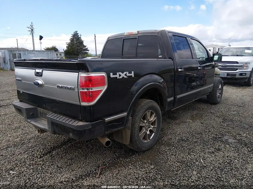 2013 FORD F-150 PLATINUM