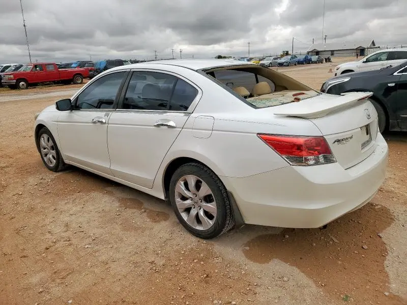 2010 HONDA ACCORD EXL  