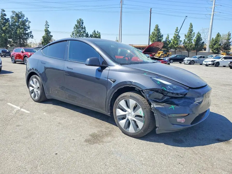 2024 TESLA MODEL Y   