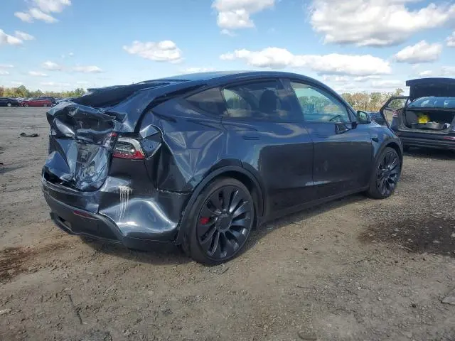 2025 TESLA MODEL Y   